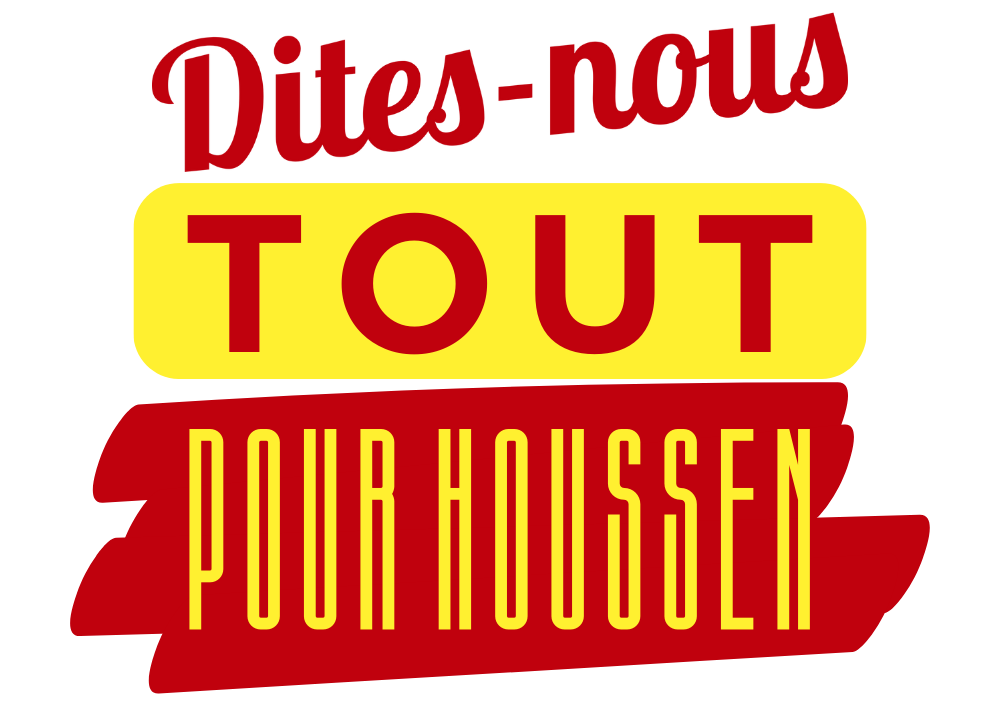 Logo Dite-nous tout - Site Houssen 2026 (3)